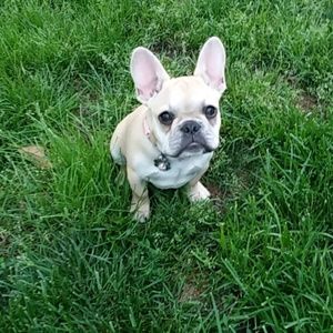 Meet your Posher, Crystal